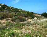 Прекрасная вилла на северном побережье Крита